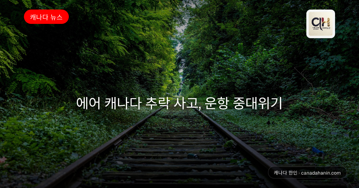 에어 캐나다 추락 사고, 운항 중대위기